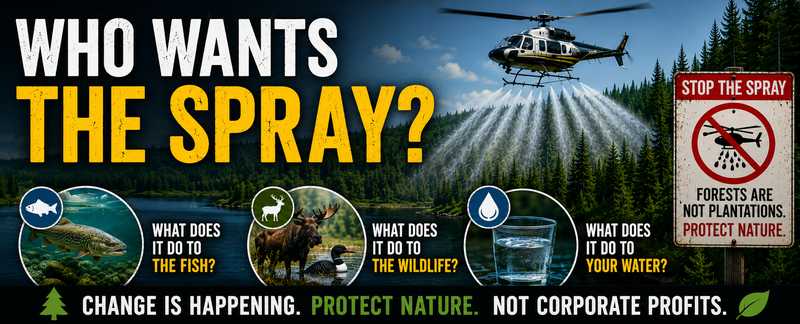 What Happens When They Spray? | The Fight to Stop Glyphosate in Ontario's Forests