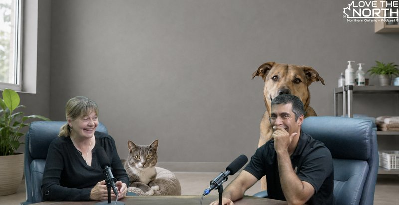 Pet Care You Can Afford: Spay, Neuter & When Your Pet Needs Help