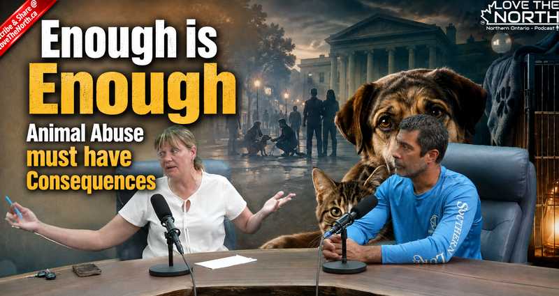 Enough Is Enough: Why Animal Abuse Must Have Consequences