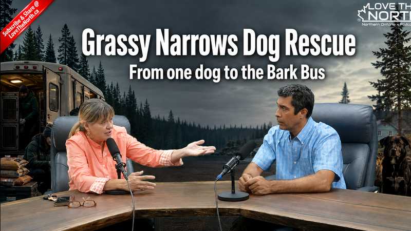 From One Dog to a Bark Bus: The Grassy Narrows Rescue Mission