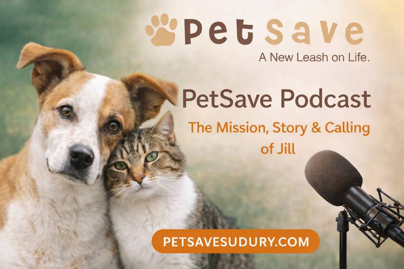 PetSave