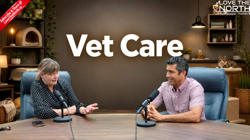 Spay & Neuter: Affordable Pet Care with East Village Animal Hospital