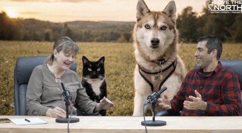 Petsave - Animal Laws