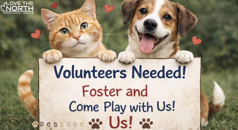 Petsave - Fostering & Volunteering