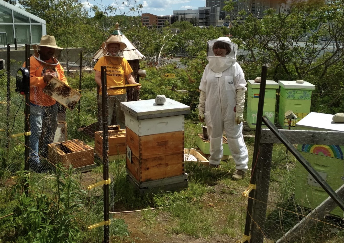 Beekeeping in the North