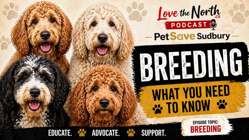 PetSave - Dog Breeding