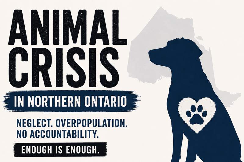 Petsave - Animal Crisis - How well is the system working?