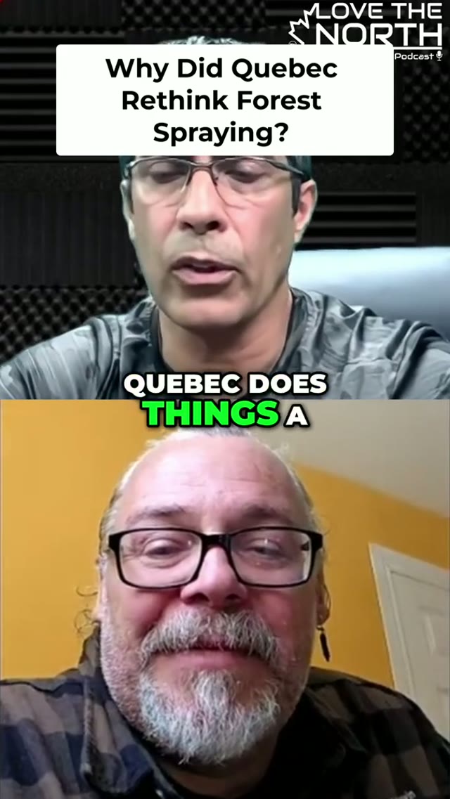 Quebec Stopped Spraying Its Public Forests in 2001. Why Is Ontario Still Doing It?